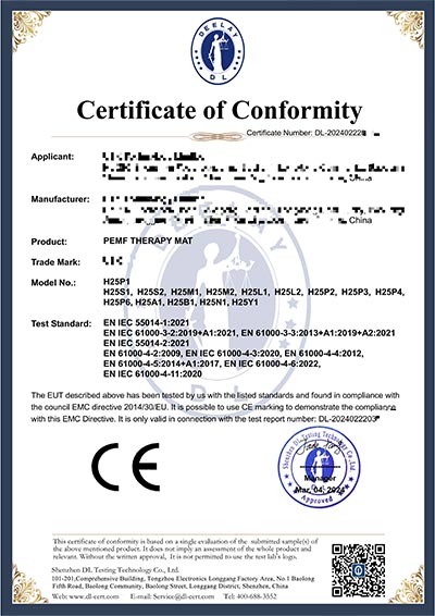 Rehabilitation Devices