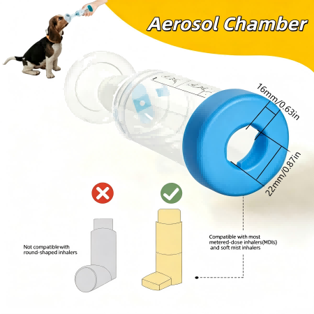 aerosol chamber