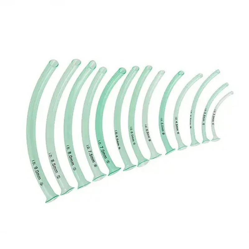 ทางเดินหายใจโพรงจมูก